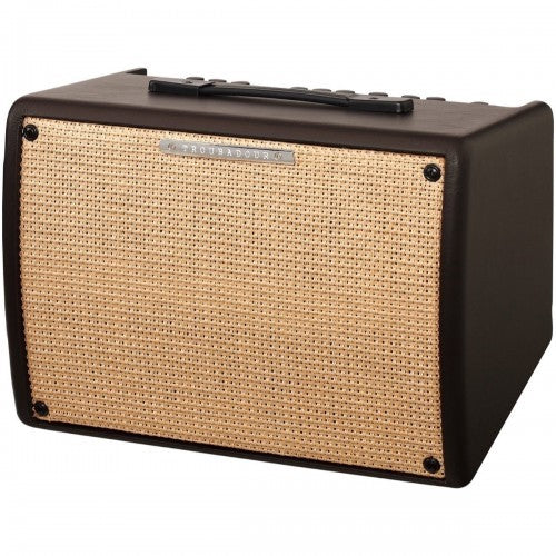 Ibanez T30II Troubadour II Acoustic Guitar Combo Amplifier 30W - Reco Music Malaysia