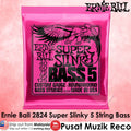 Ernie Ball 2824 Super Slinky Roundwound 5 String Electric Bass Guitar String 40-125 - Reco Music Malaysia
