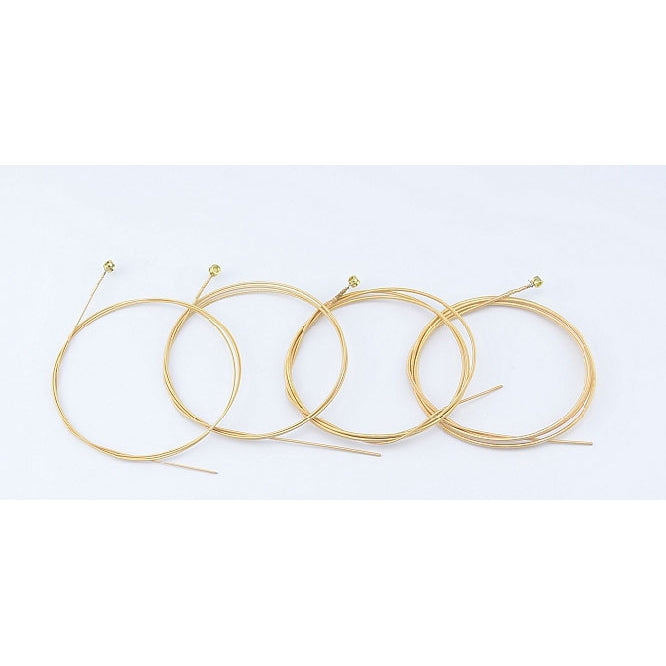 RM GF SAB45100 Acoustic Bass Guitar String SET 4 String 45-100 - Reco Music Malaysia