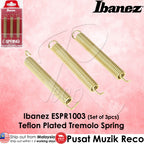 Ibanez ESPR1003 E-SPRING Teflon Plated Edge Tremolo Spring, Set of 3 - Reco Music Malaysia