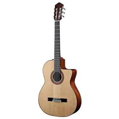 Ibanez AEG8TNE NT Thinline Classical Cutaway Semi Acoustic Guitar ( AEG8TNE ) - Reco Music Malaysia