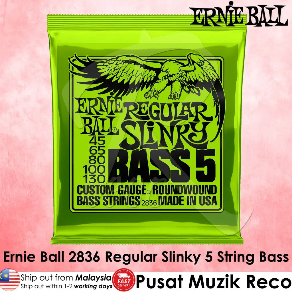 Ernie Ball 2836 Regular Slinky 5 String Nickel Wound Electric Bass Guitar String 45-130 | Reco Music Malaysia